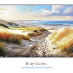 Affiche Dune Marchand - Bray Dunes