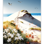 Affiche Pointe de Routhiauville la Dune Blanche - Baie d'Authie