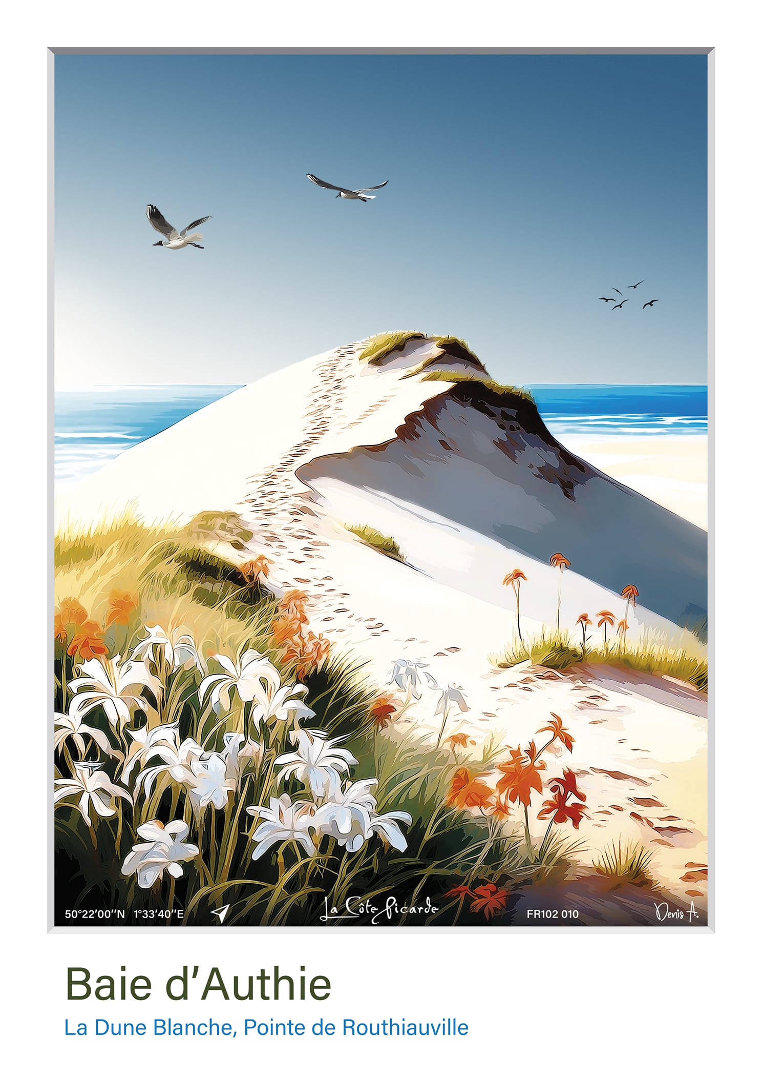 Affiche Baie dAuthie La Dune Blanche Pointe de Routhiauville FR102 010