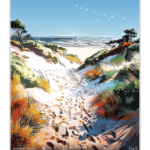Affiche Sentier dunaire - Berck-sur-Mer
