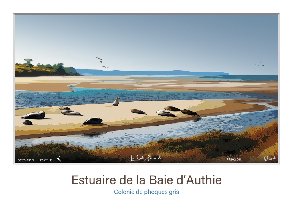 Affiche Estuaire de la Baie dAuthie colonie de phoques gris FR102 011