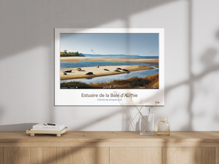 Affiche Phoques gris - Estuaire de la Baie d'Authie – Image 3