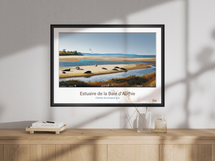 Affiche Phoques gris - Estuaire de la Baie d'Authie – Image 2