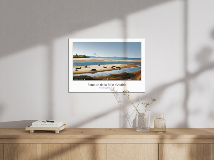 Affiche Phoques gris - Estuaire de la Baie d'Authie – Image 5