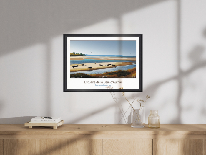 Affiche Phoques gris - Estuaire de la Baie d'Authie – Image 4