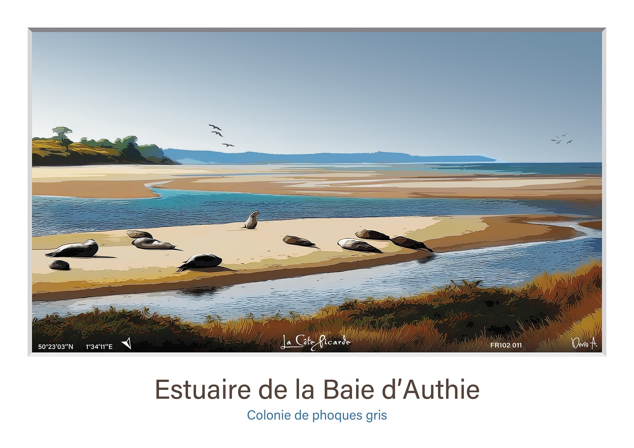 Affiche Estuaire de la Baie dAuthie colonie de phoques gris FR102 011