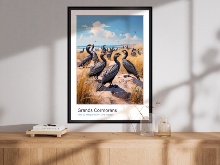 Affiche Grands Cormorans - Parc du Marquenterre – Image 2