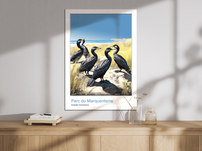 Affiche Grands Cormorans - Parc du Marquenterre – Image 3