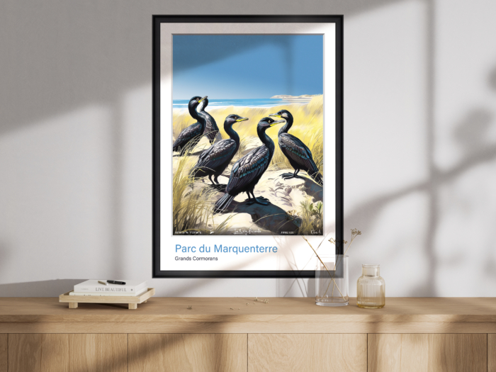Affiche Grands Cormorans - Parc du Marquenterre – Image 2