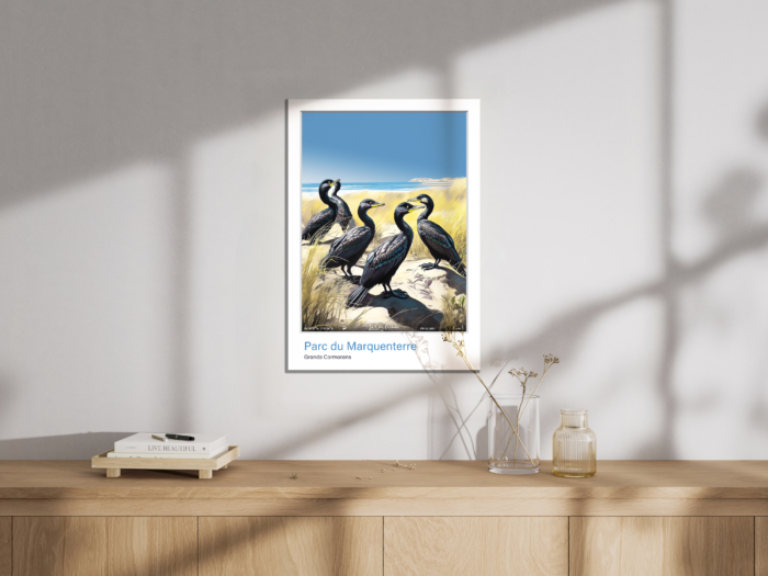 Affiche Grands Cormorans - Parc du Marquenterre – Image 5