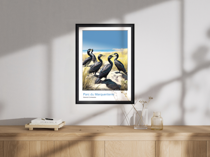 Affiche Grands Cormorans - Parc du Marquenterre – Image 4