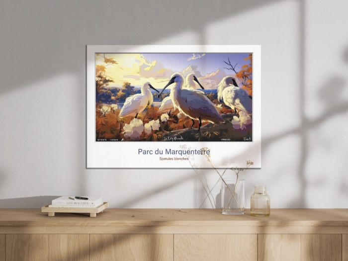 Affiche Spatules blanches - Parc ornithologique du Marquenterre – Image 3