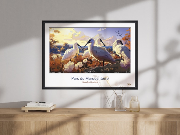Affiche Spatules blanches - Parc ornithologique du Marquenterre – Image 2