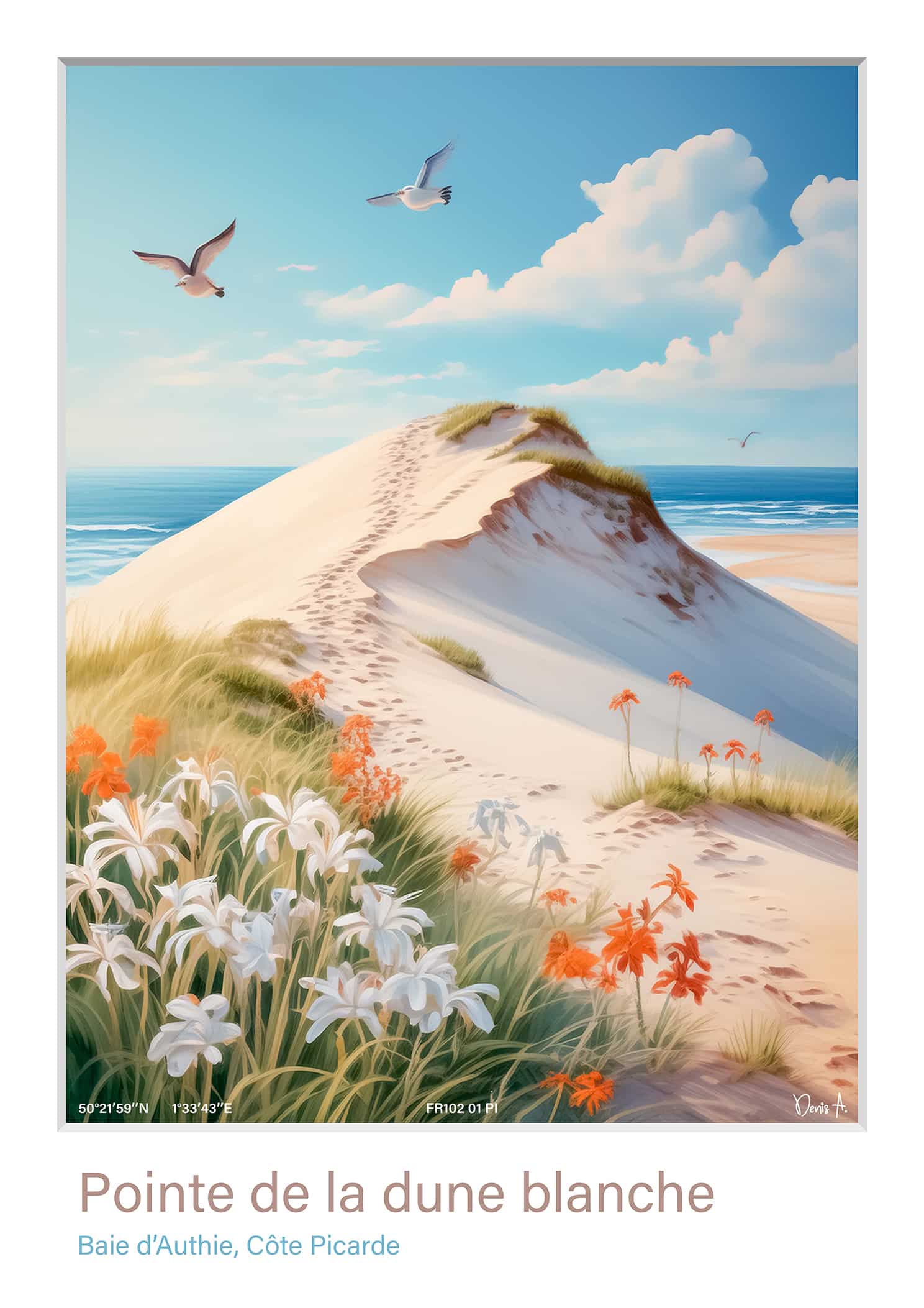 Affiche Pointe de la dune blanche FR102 01 PI