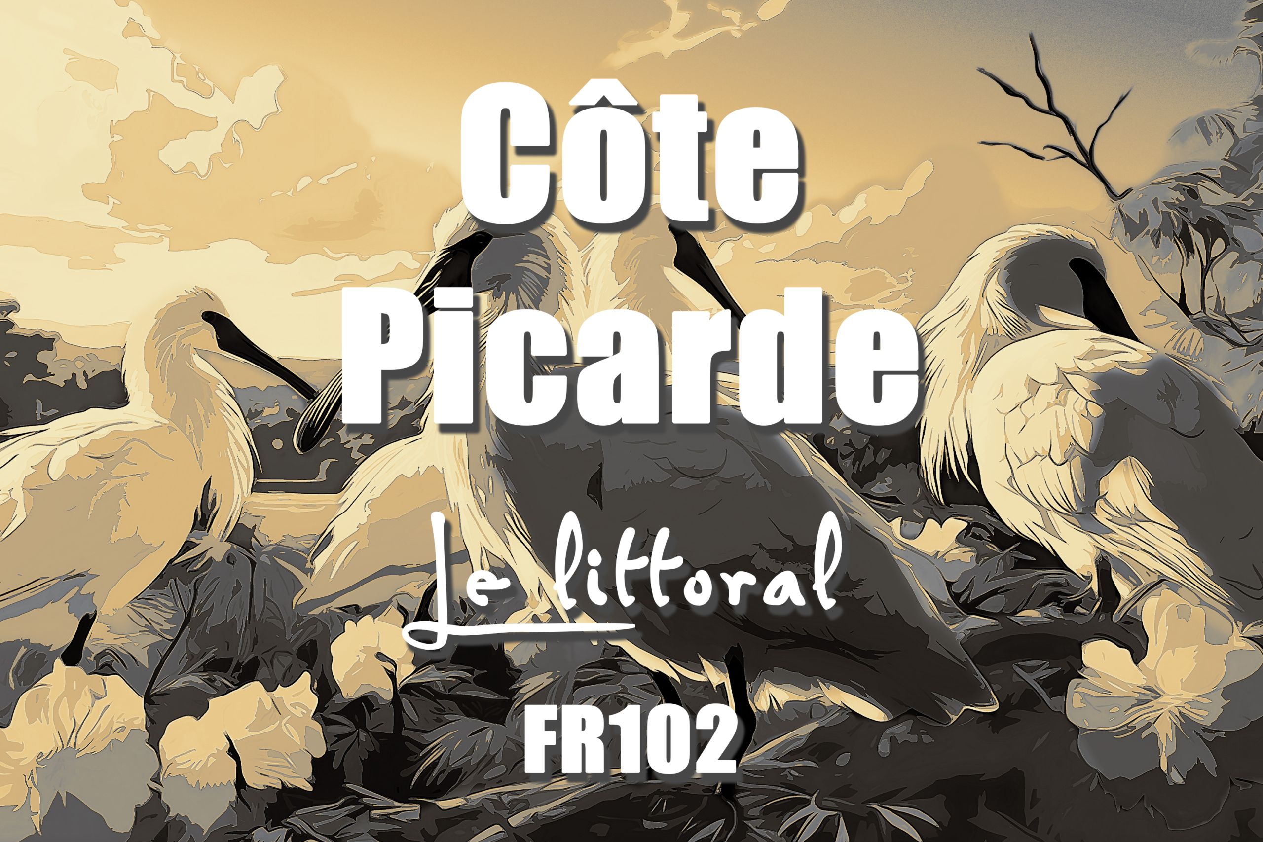 Cote Picarde sepia scaled