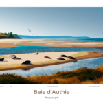 Affiche Baie d’Authie Illustration Phoques gris