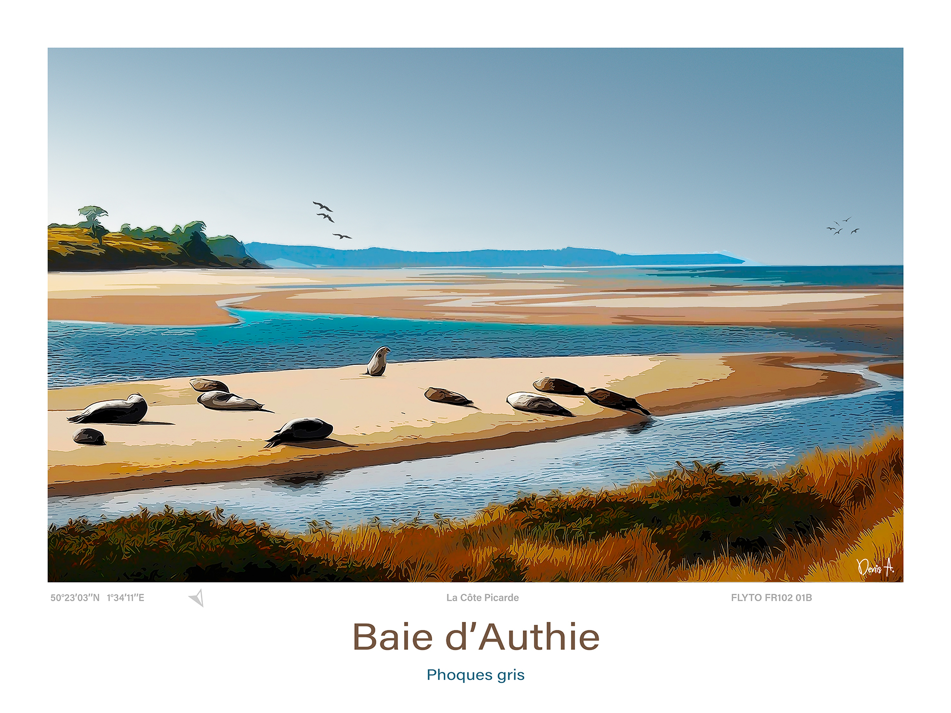 Affiche Baie d’Authie Illustration Phoques gris 1 Affiche Baie d’Authie Illustration Phoques gris
