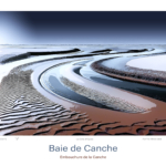 Affiche Baie de Canche Illustration Embouchure de la Canche
