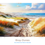 Affiche Bray-Dunes Illustration Réserve Naturelle Dune Marchand