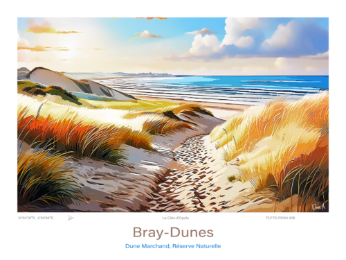 Affiche Bray Dunes Illustration Reserve Naturelle Dune Marchand FR101 01B A