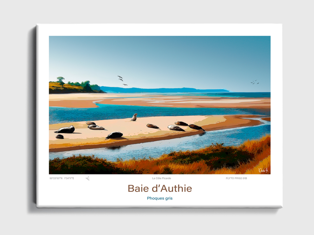 Affiche Baie d’Authie Illustration Phoques gris 8 Toile Baie dAuthie Illustration Phoques gris FR102 01B T