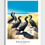 Toile Baie de Somme Illustration Grands Cormorans