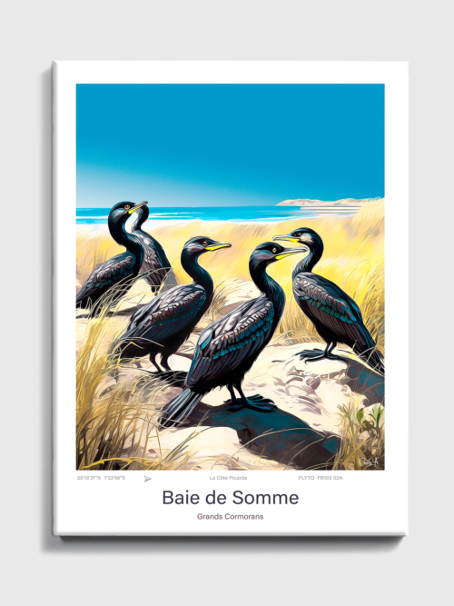 Toile Baie de Somme Illustration Grands Cormorans 2 Toile Baie de Somme Illustration Grands Cormorans FR102 02A T