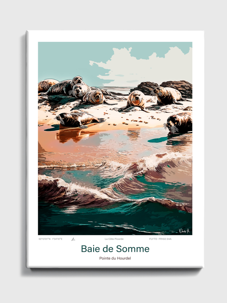 Affiche Le Crotoy Illustration Prés salés 7 Toile Baie de Somme Illustration Pointe du Hourdel FR102 04A T