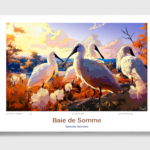 Toile Baie de Somme Illustration Spatules blanches
