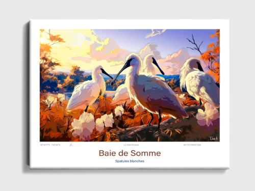 Toile Baie de Somme Illustration Spatules blanches 4 Toile Baie de Somme Illustration Spatules blanches FR102 02B T
