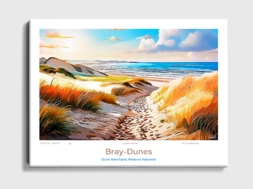 Toile Bray-Dunes Illustration Réserve Naturelle Dune Marchand 4 Toile Bray Dune Illustration Reserve Naturelle Dune Marchand FR101 01B T